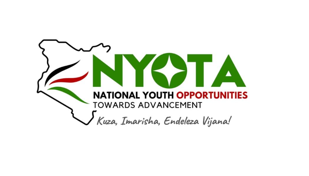 Gov't Warns Public Against Fake App Targeting NYOTA Applicants