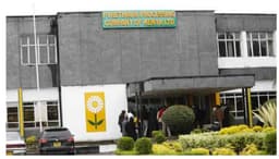 Gov’t Reveals Plan to Lease Another State Corporation as Pyrethrum Sector Reforms Intensify