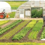 Smart Ways to Transform a Hobby Farm Into a Business