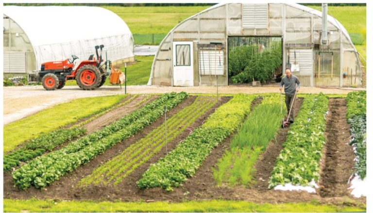 Smart Ways to Transform a Hobby Farm Into a Business